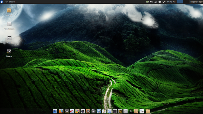 Xubuntu 13.04 Raring Ringtail